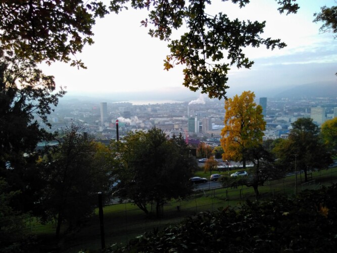 Stadt Zürich umrahmt von Bäumen